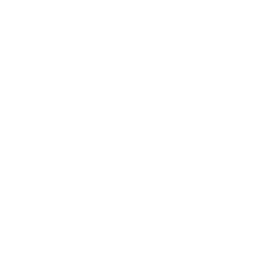 Icone eco