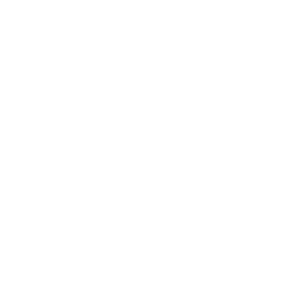 Icone de dinheiro sendo economizado